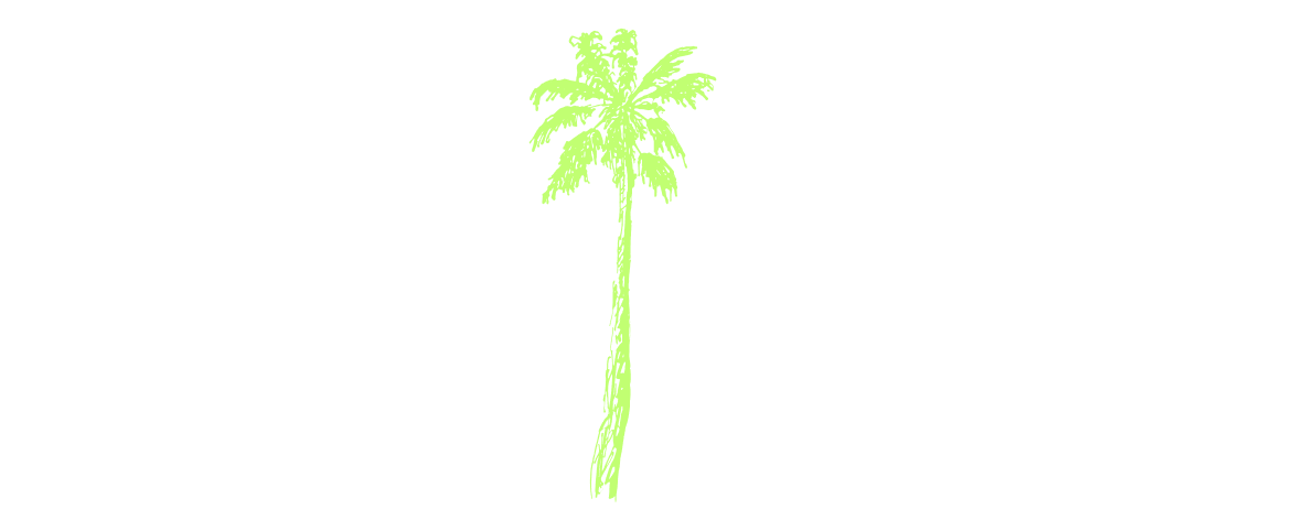 Cruizera