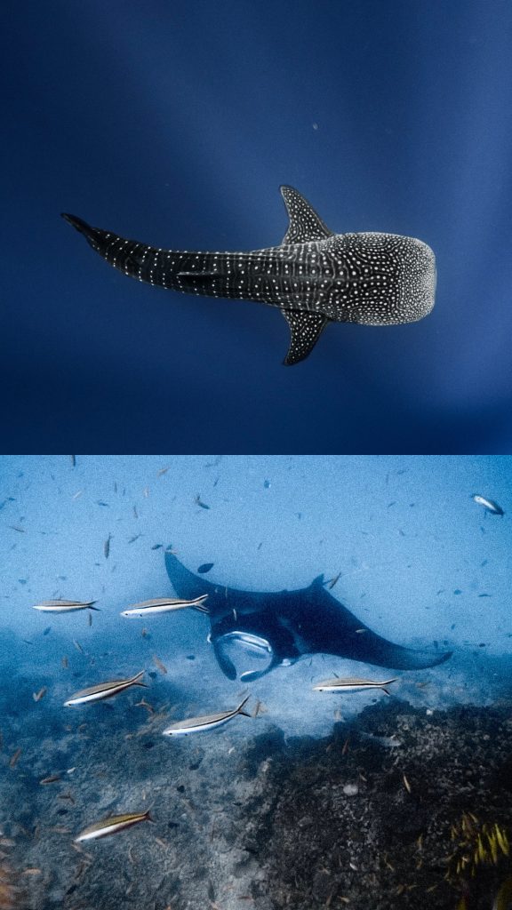 DCBC0603-BF3B-45AA-9E38-BC252ECEA117